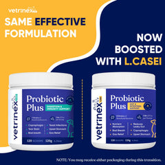 Vetrinex Labs digestive enzymes blend assists post-meal digestion.