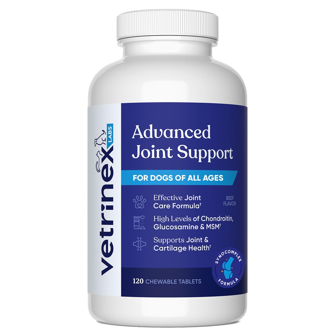 Vetrinex Labs joint support beef-chew bottle for easy feeding