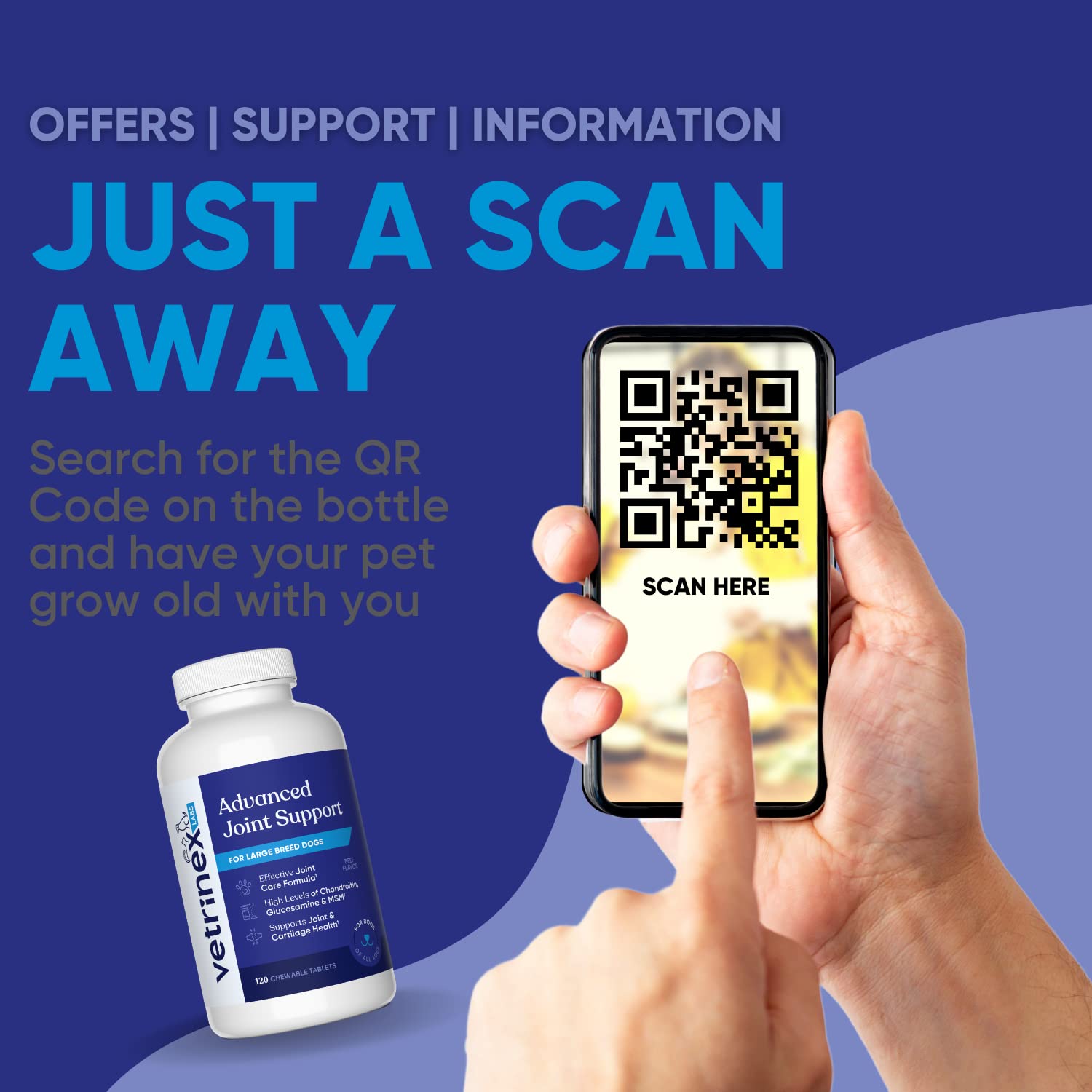 Vetrinex Labs post-surgery recovery concept image