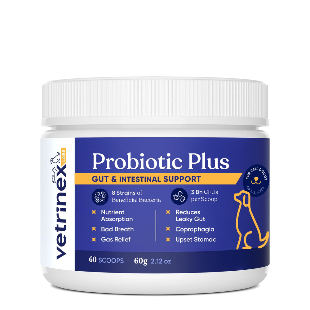 Vetrinex Labs Probiotic bottle on counter supports dog gut balance.