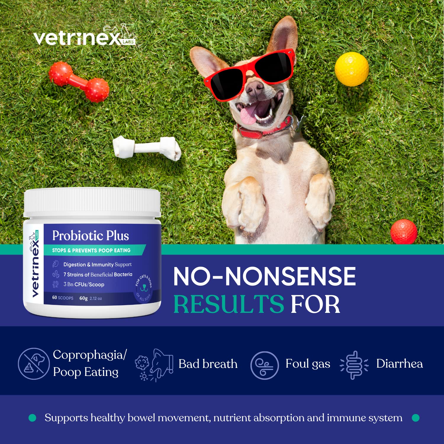 Scoop included with Vetrinex Labs Probiotic enables convenient daily dosing.