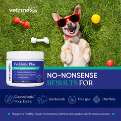 Scoop included with Vetrinex Labs Probiotic enables convenient daily dosing.