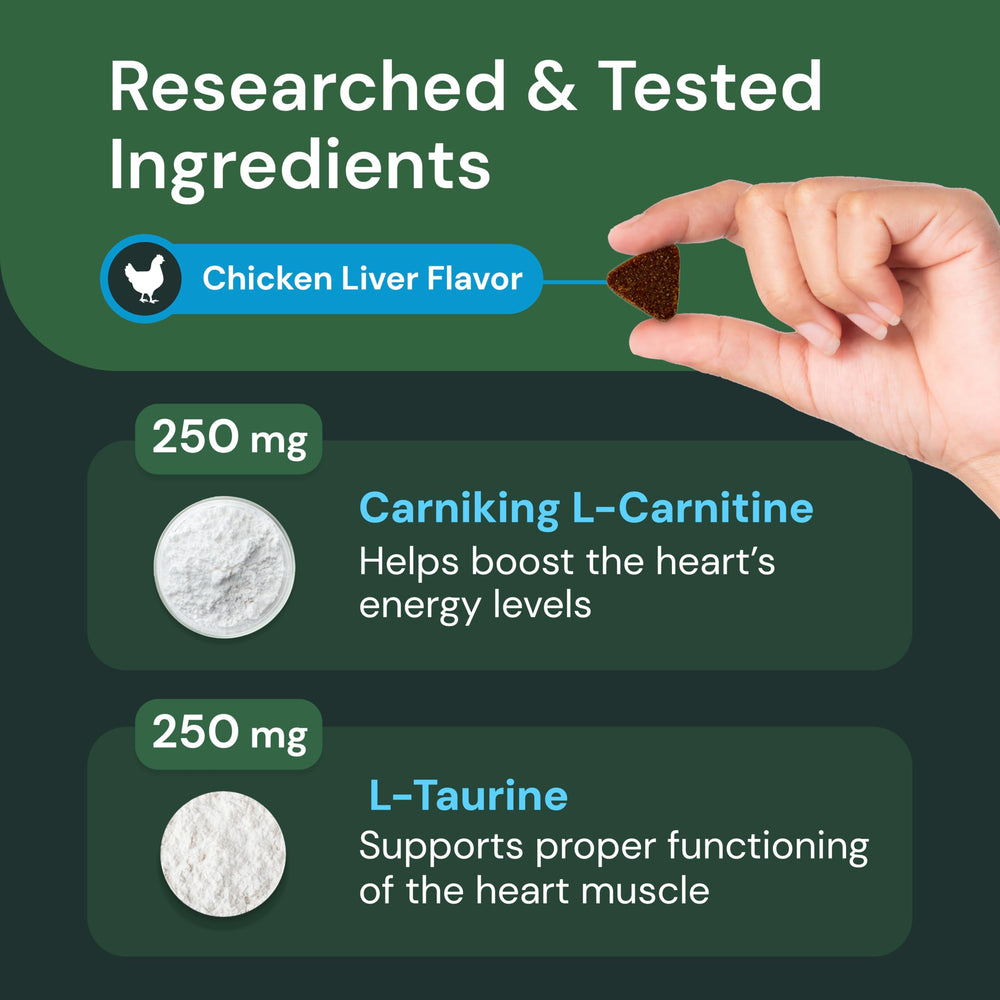 Pet owner offers VetriScience Healthy Heart Chews to dog during walk.