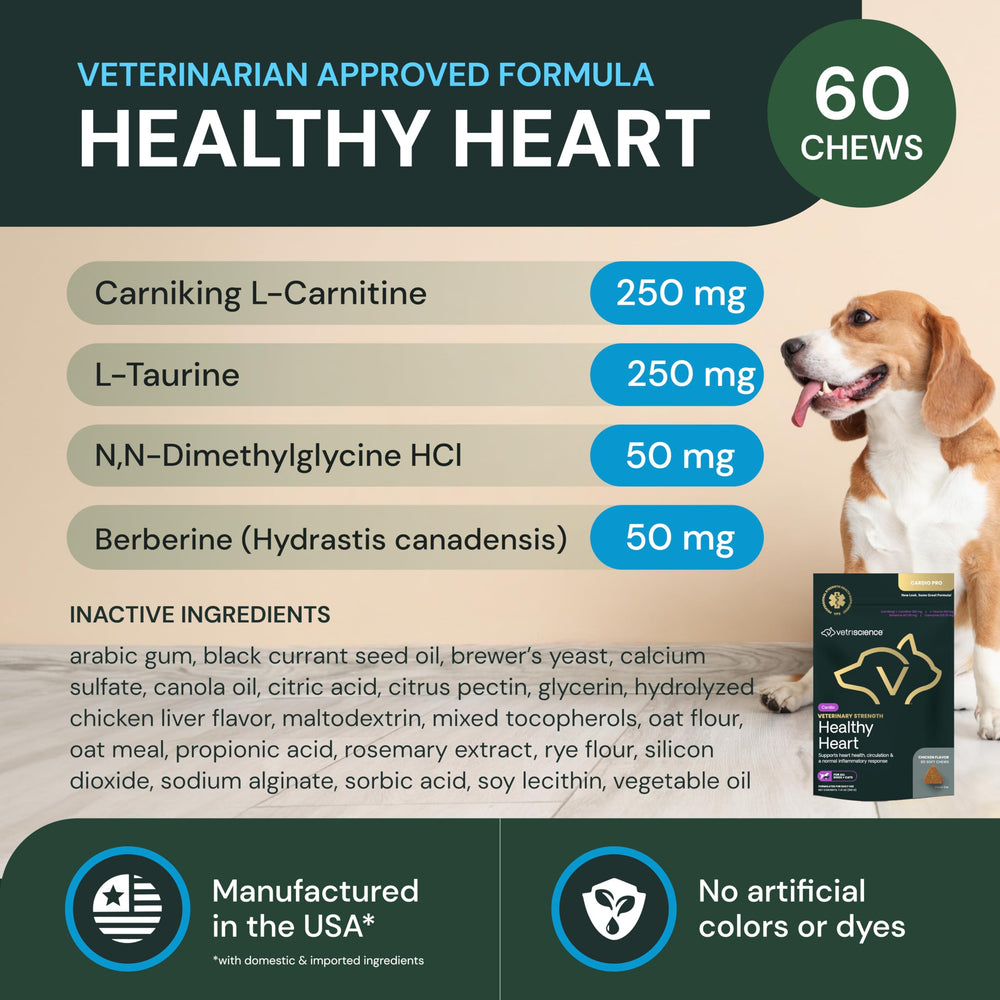 Dog chew served by owner illustrates simple daily use with VetriScience chews.