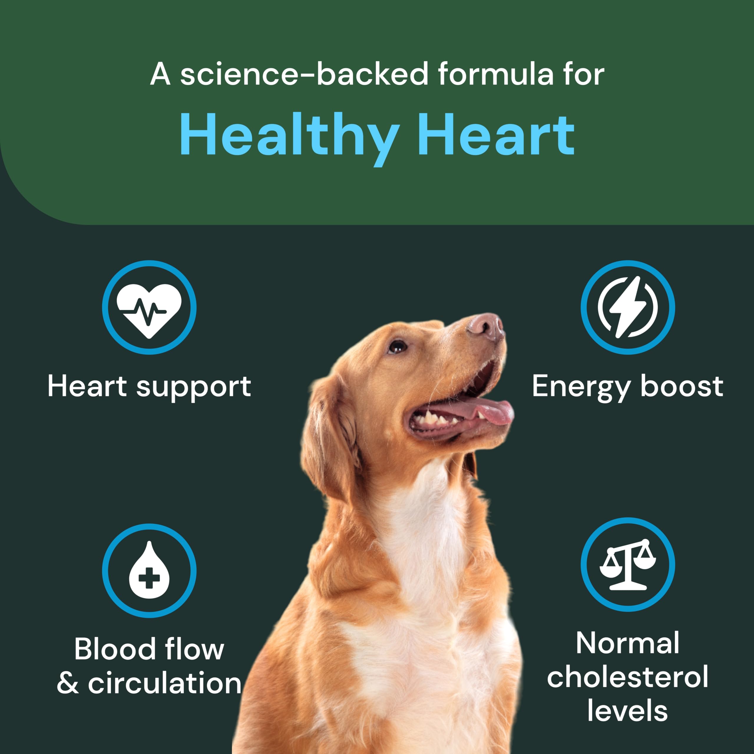 VetriScience Healthy Heart Chews packaging highlights hawthorn and berberine for heart health support.