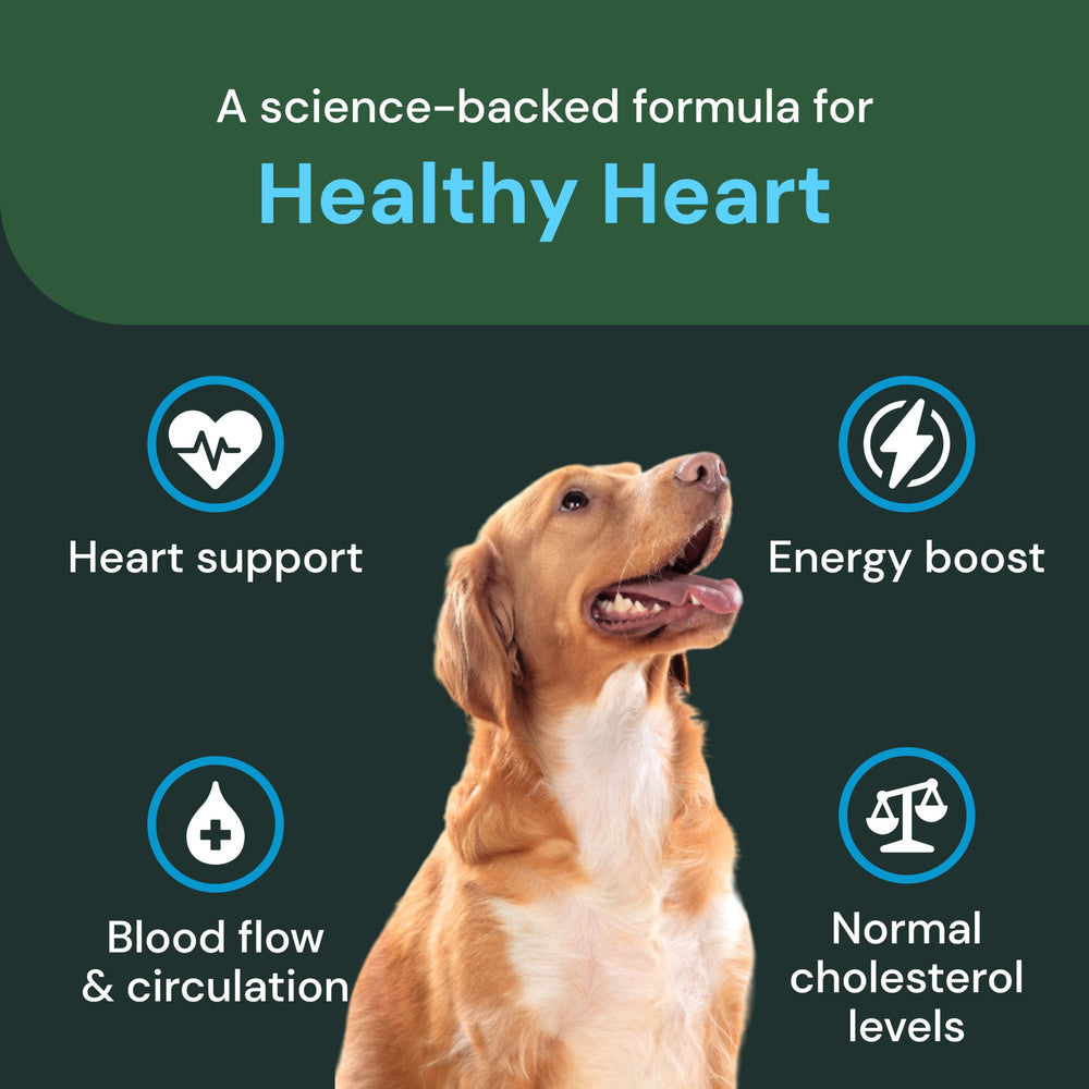 VetriScience Healthy Heart Chews packaging highlights hawthorn and berberine for heart health support.