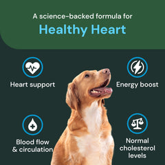 VetriScience Healthy Heart Chews packaging highlights hawthorn and berberine for heart health support.