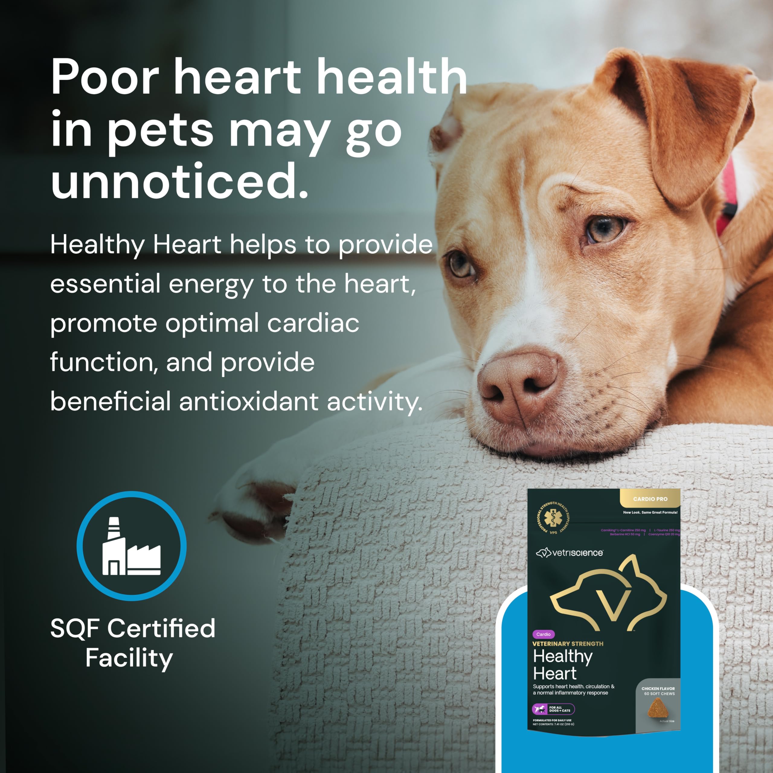 Bottle front features VetriScience Heart Chews with vet-approved heart wellness messaging.