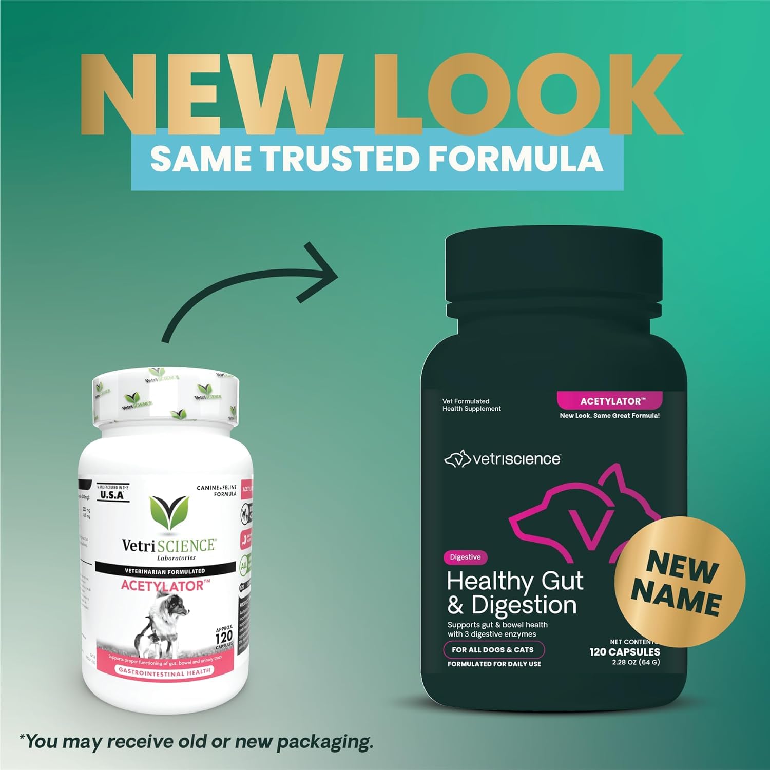 VETRISCIENCE Acetylator digestive enzyme formula supports nutrient absorption in pets