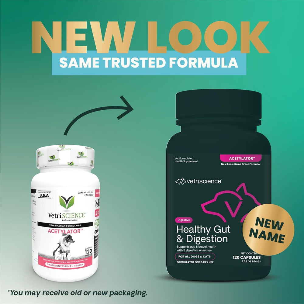 VETRISCIENCE Acetylator digestive enzyme formula supports nutrient absorption in pets