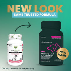 VETRISCIENCE Acetylator digestive enzyme formula supports nutrient absorption in pets