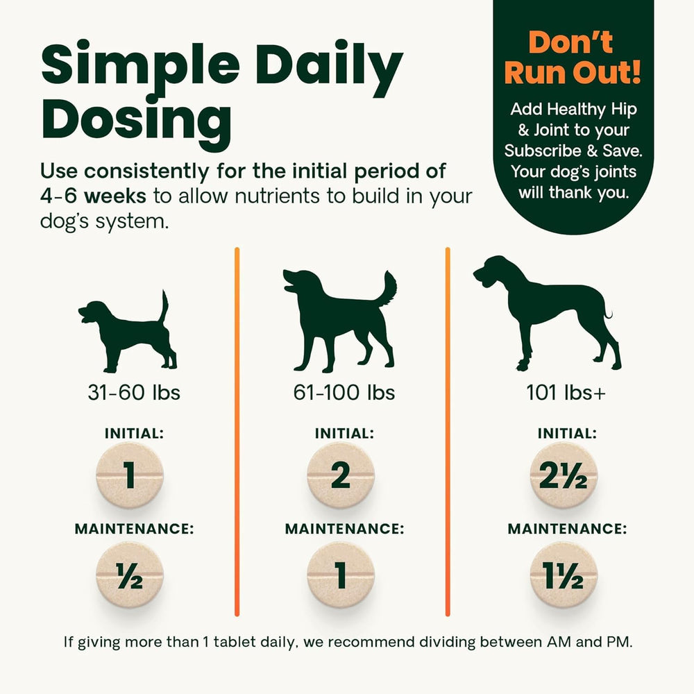 Active dog running freely with VetriScience Ultimate Strength joint support.