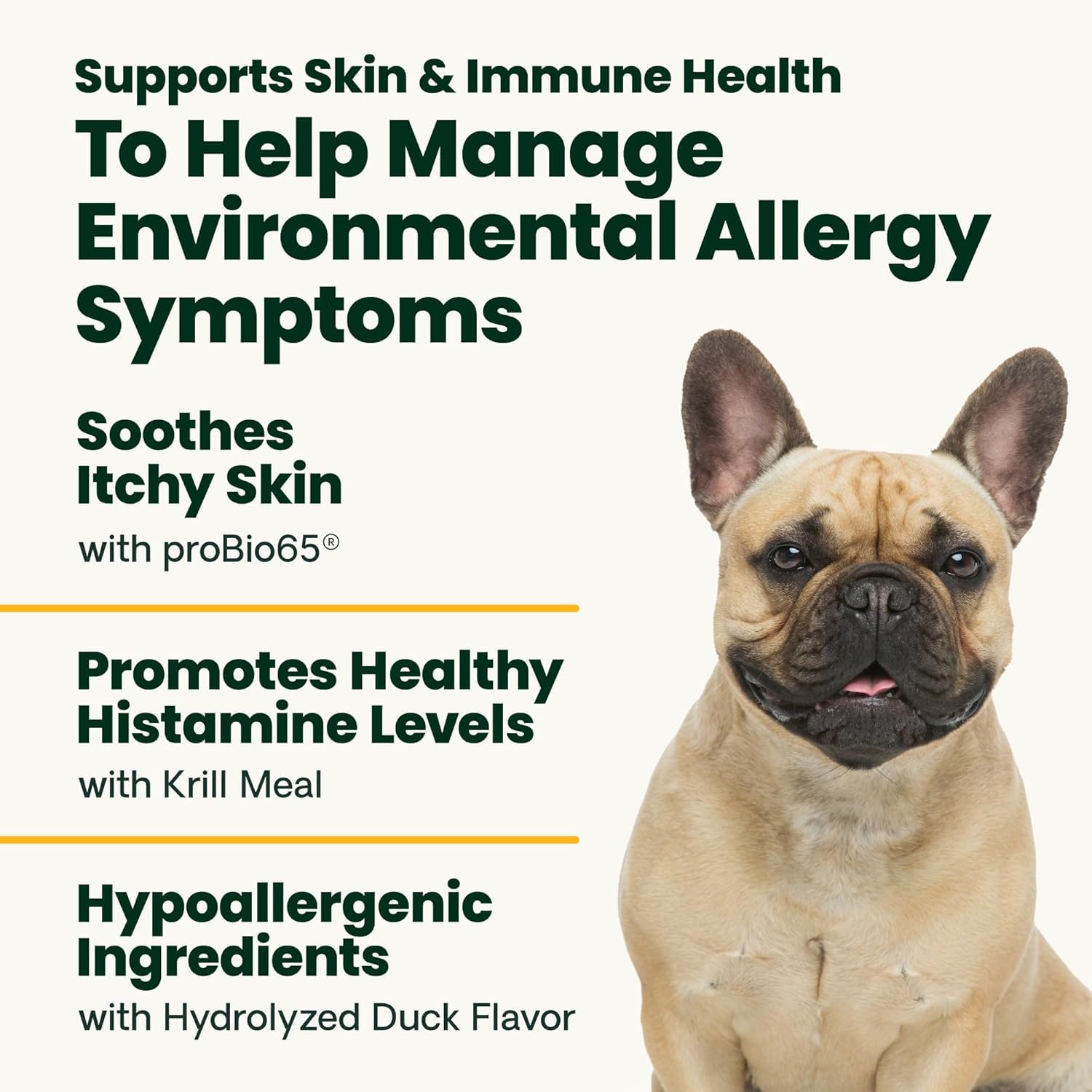Dog enjoying VetriScience Allergy & Itch chews during daily routine.