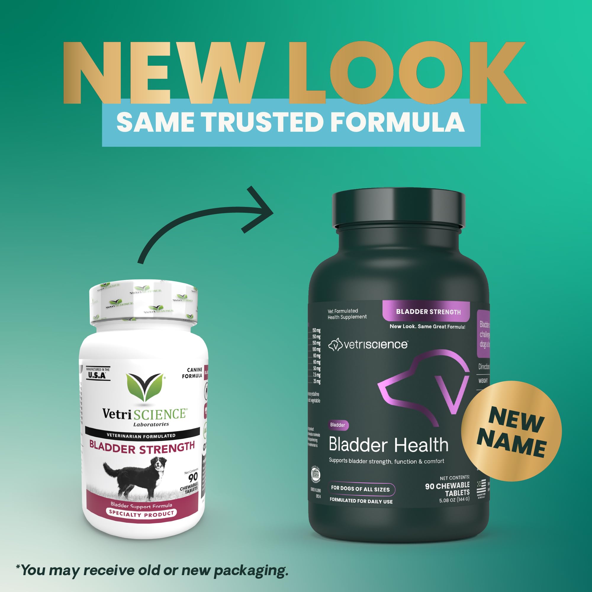 VETRISCIENCE Bladder Health chewables closeup for daily use and support.