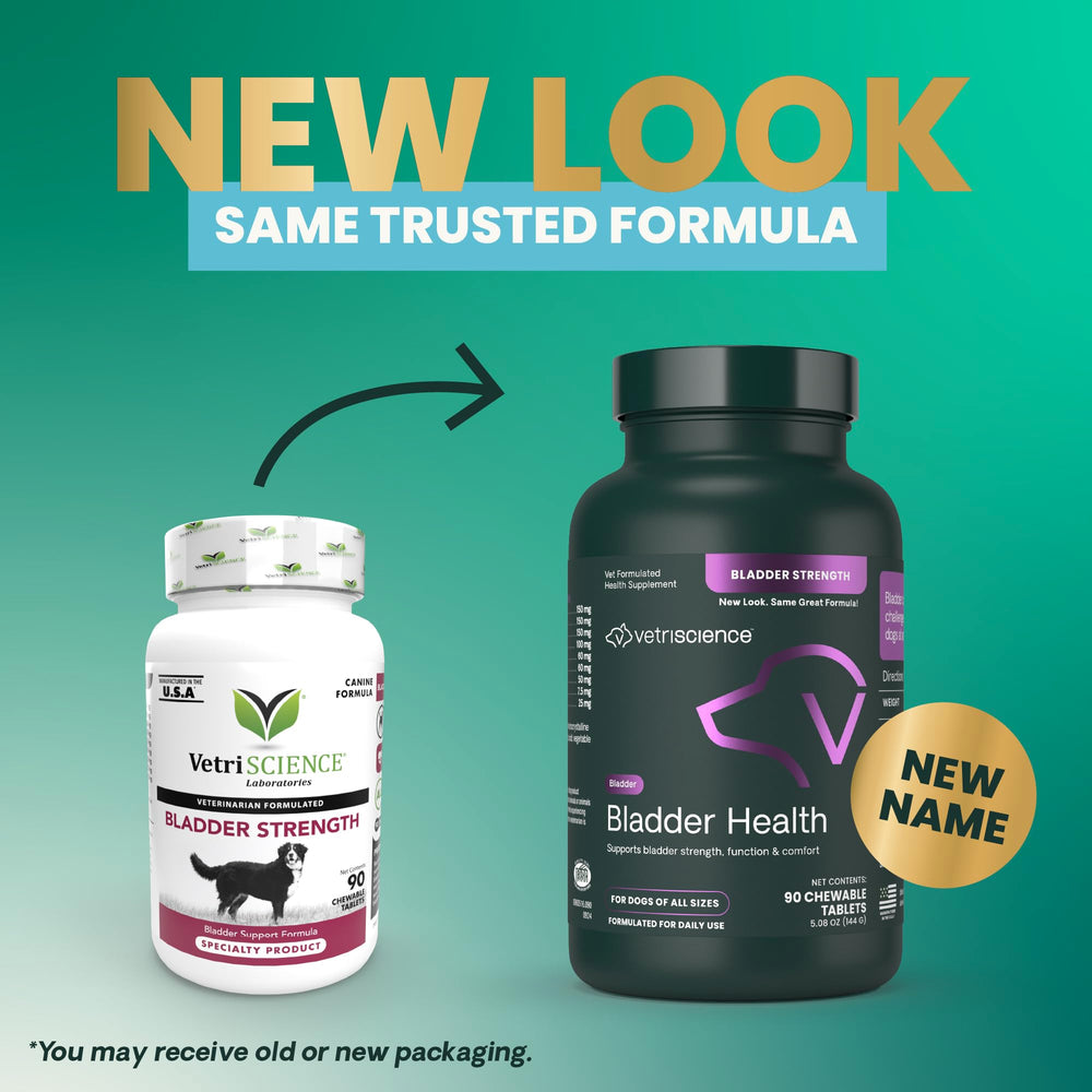VETRISCIENCE Bladder Health chewables closeup for daily use and support.