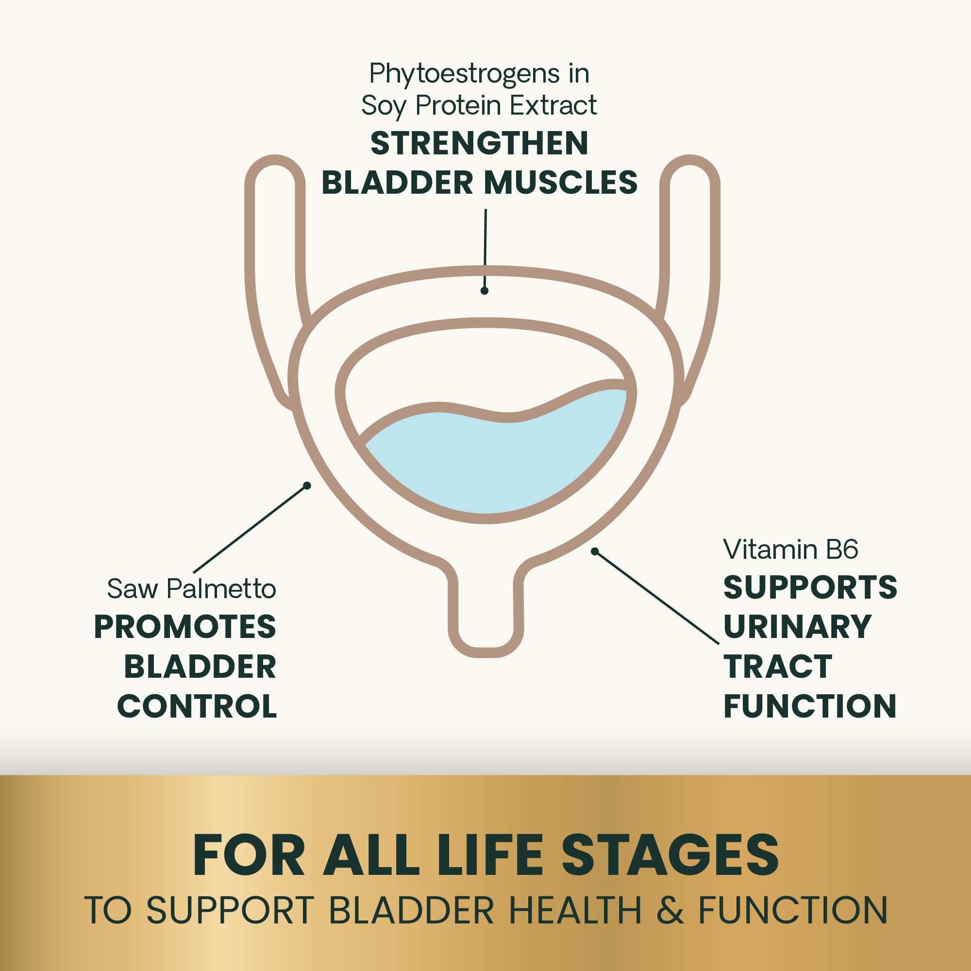 VETRISCIENCE Bladder Health label highlights pumpkin seed for bladder support.