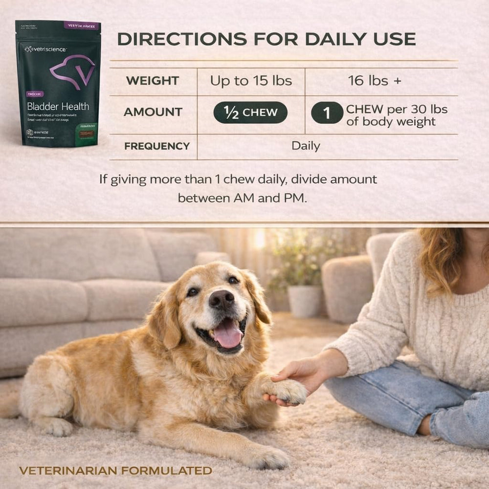 Dog with VetriScience Bladder Health Chews, urinary balance use in daily routine.