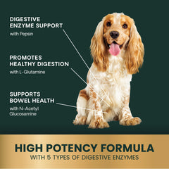 VetriScience bowel defense for dogs promotes balanced digestion and regularity