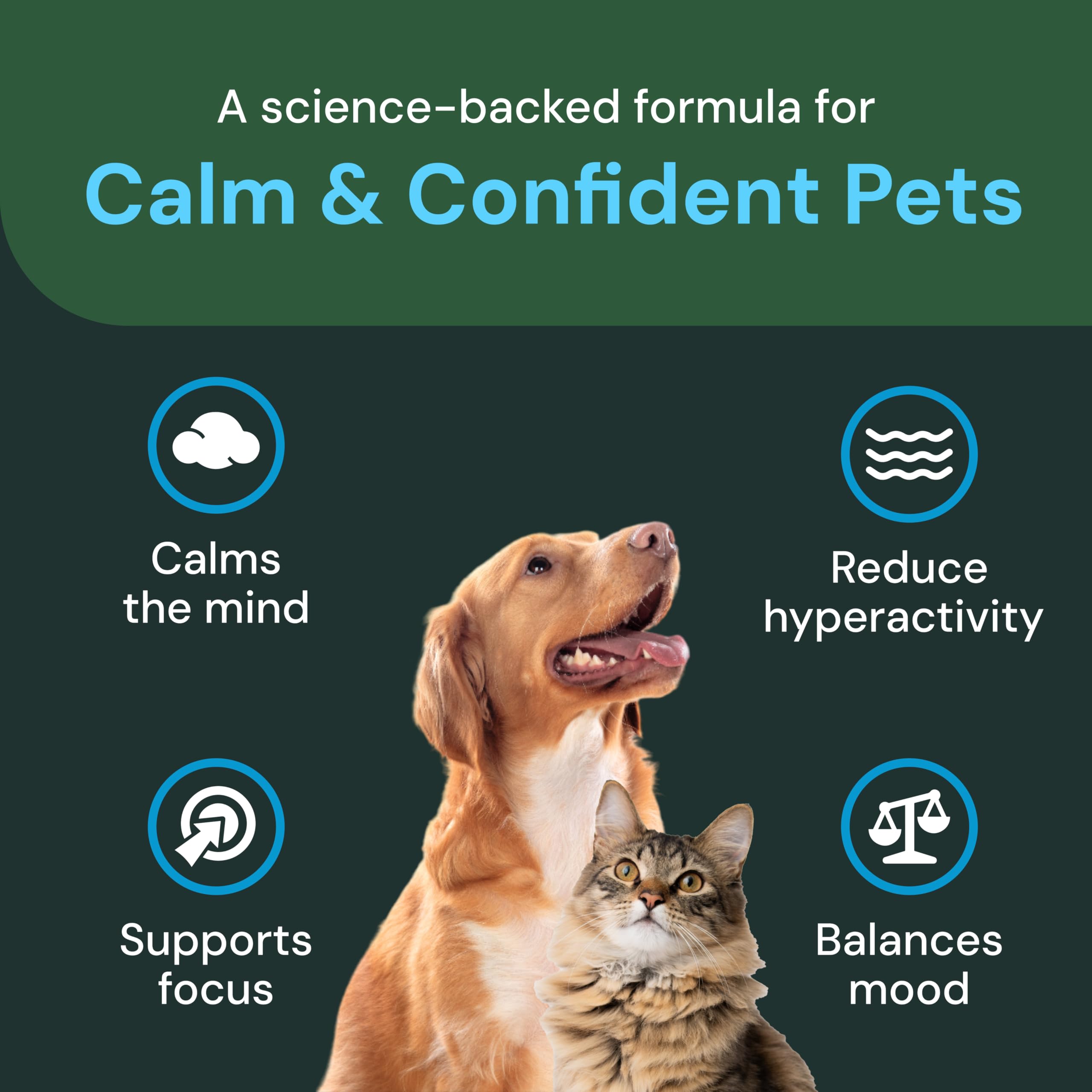 VetriScience Calm & Confident chews bottle label close-up for easy dosing.