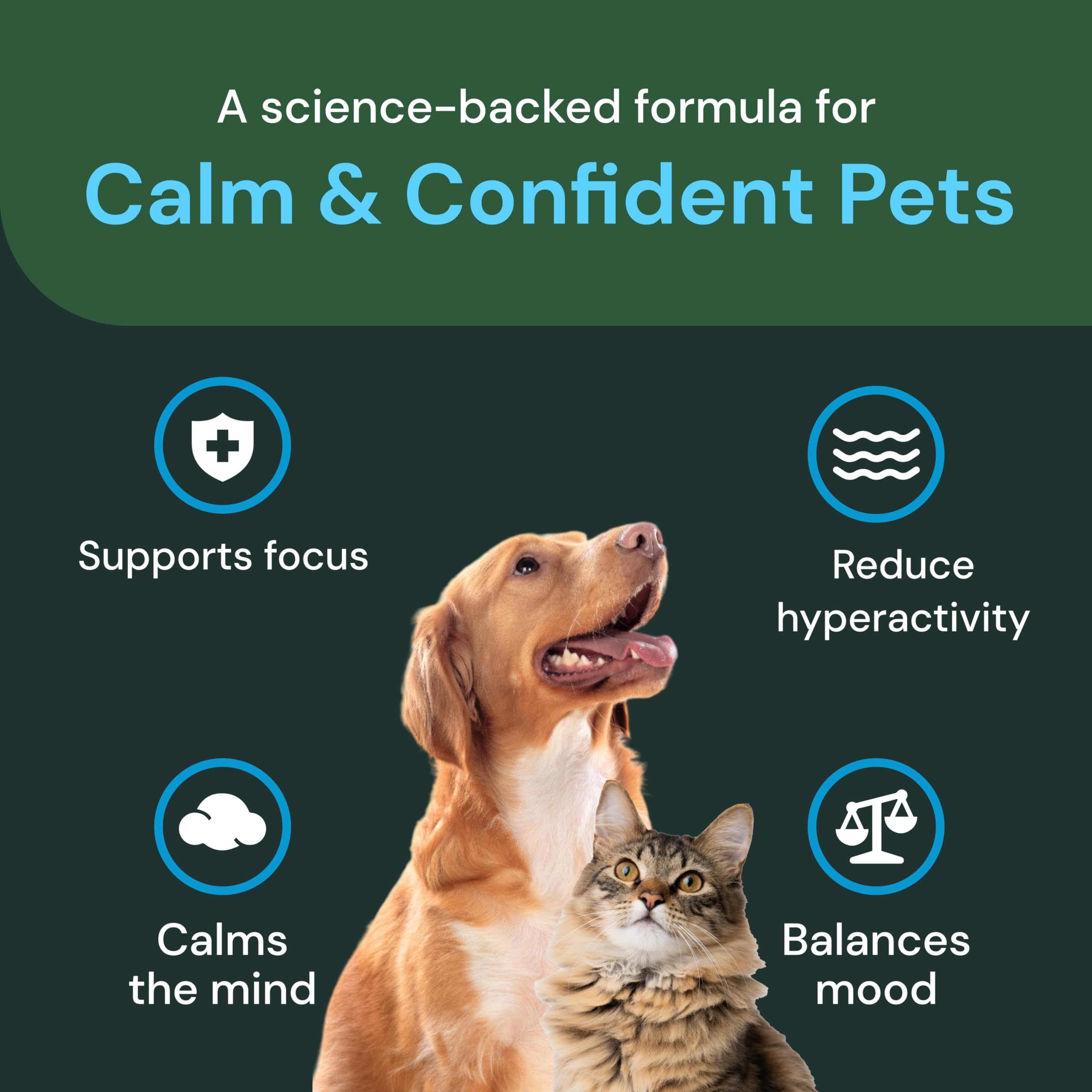 Brain-support graphic with VetriScience label suggesting cognitive-friendly calming benefits.