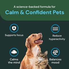 Brain-support graphic with VetriScience label suggesting cognitive-friendly calming benefits.