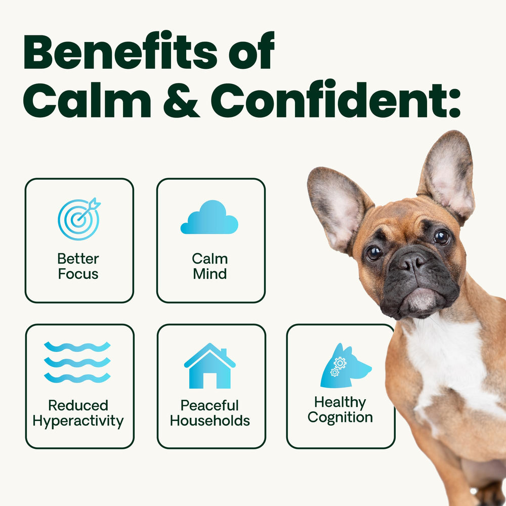 Closeup of colostrum and l-theanine ingredients in VetriScience Calm & Confident