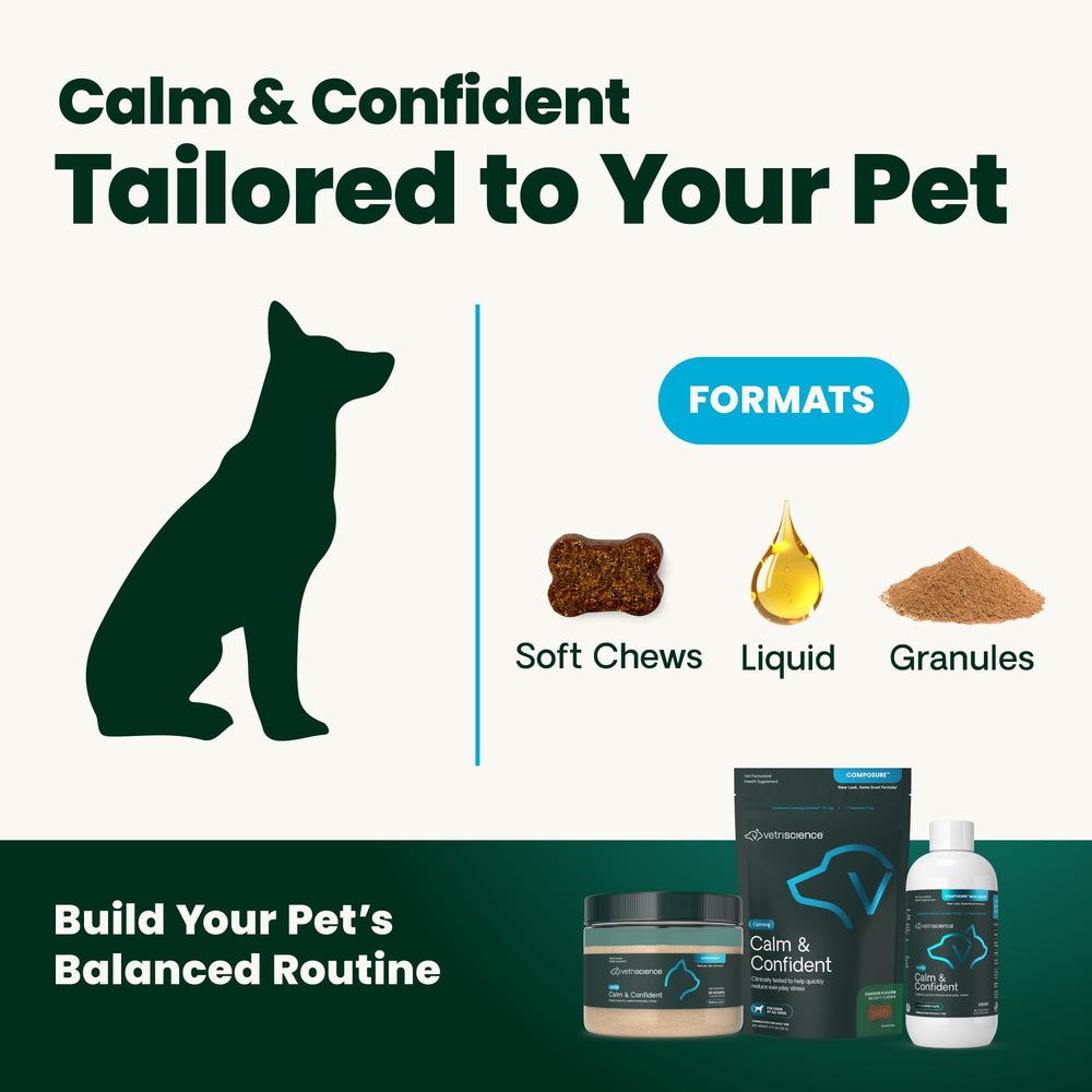 Calm VetriScience chews shown for travel preparation