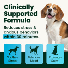 Dog treat bowl with VetriScience Calm & Confident chews ready for calming moments.
