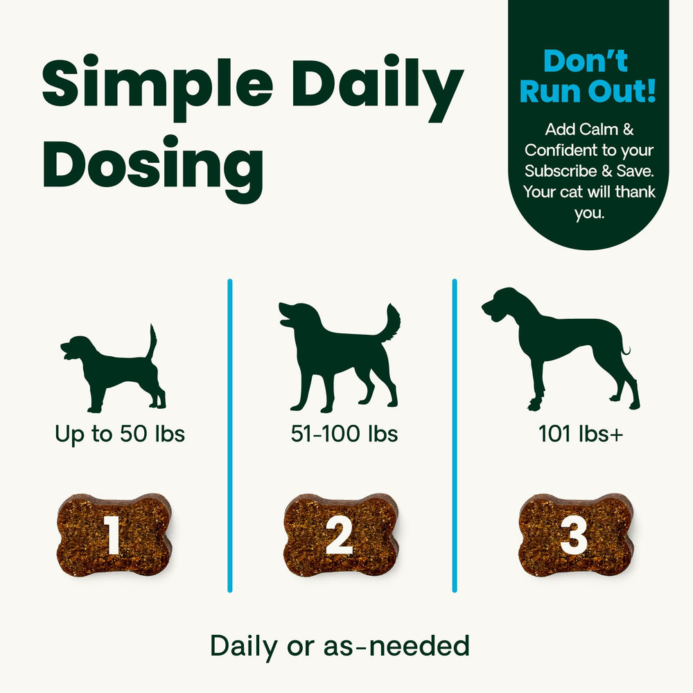 VetriScience Calm Confident shown during travel for dog reassurance on the go