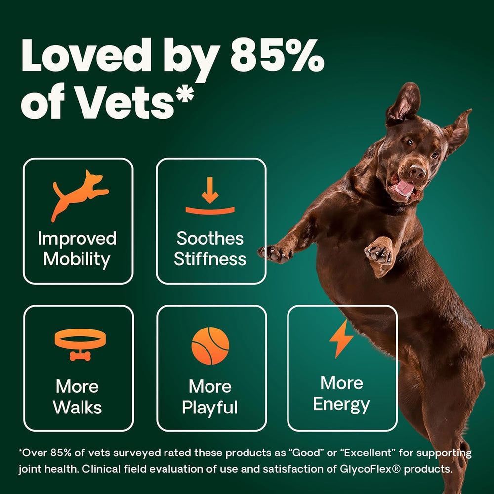 VetriScience chews helping a small dog enjoy walks and playtime.
