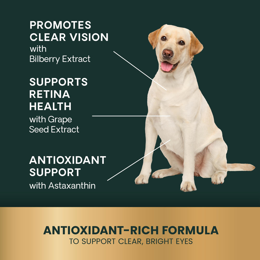 VetriScience chicken liver-flavor chews, tasty daily supplement.