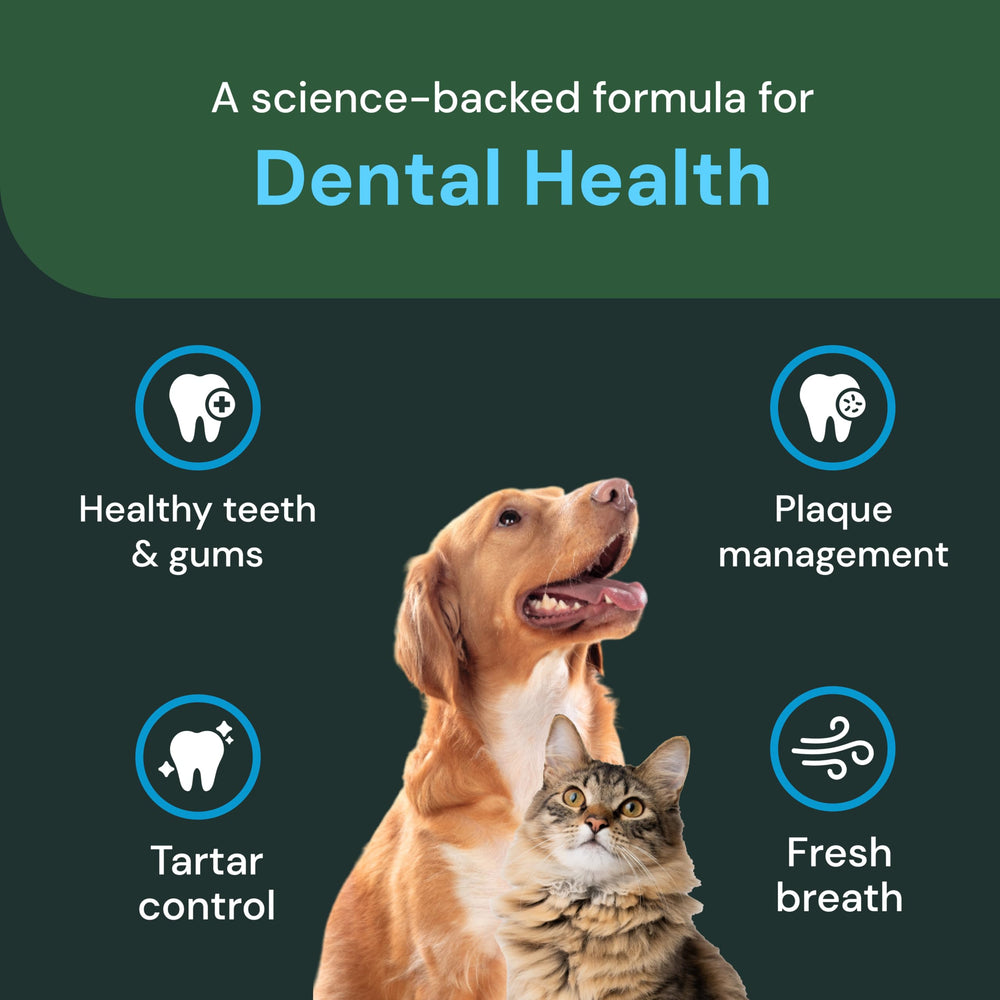 VetriScience Dental Care Powder promotes fresh breath as part of daily care.