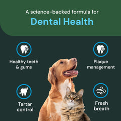 VetriScience Dental Care Powder promotes fresh breath as part of daily care.