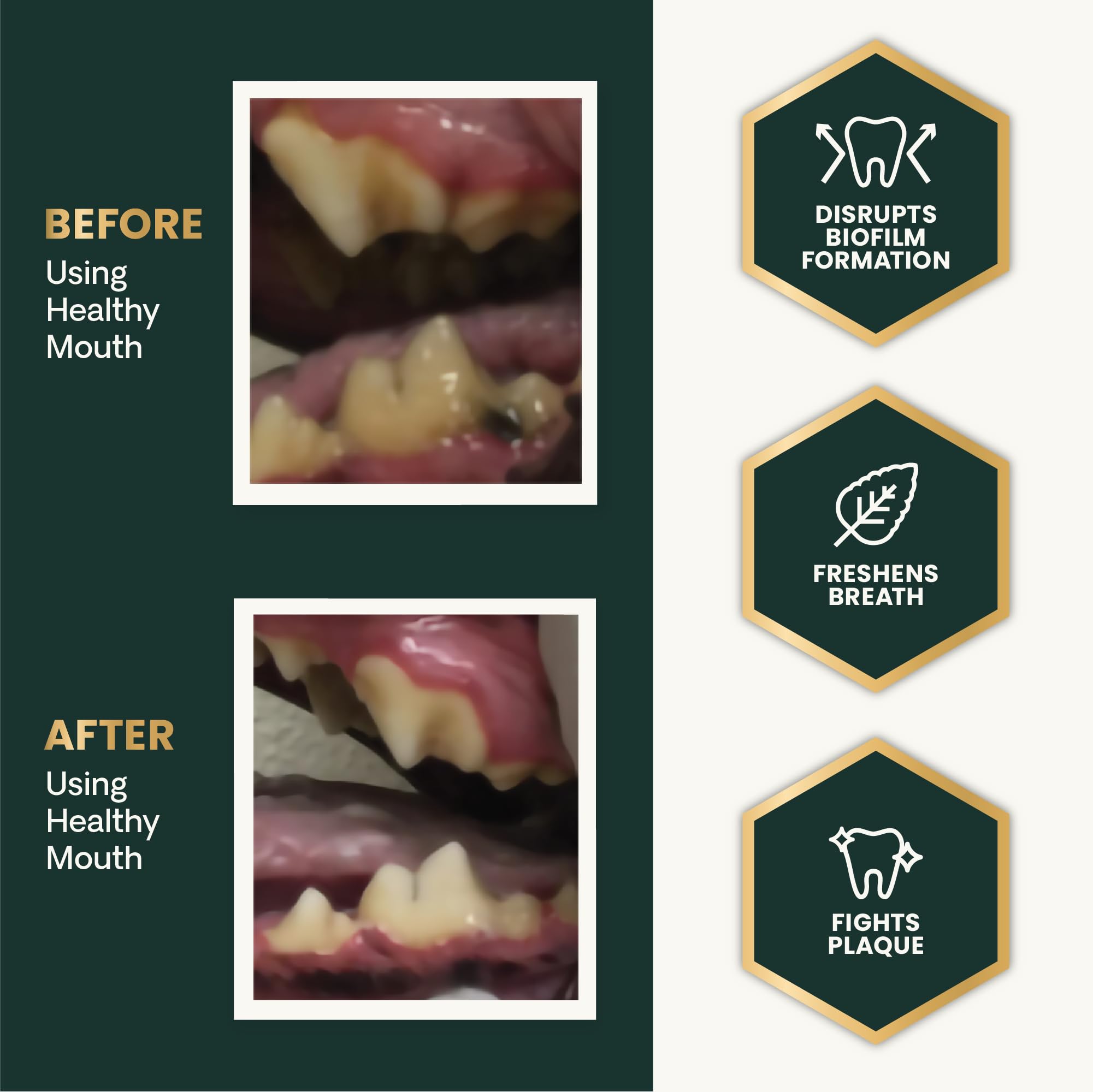 Ingredient highlights include natural zeolites, cranberry, and probiotics.