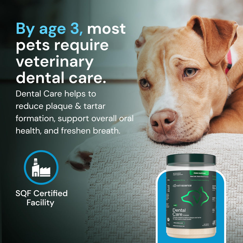 VetriScience Dental Care Powder packaging is a mess-free, resealable tub.