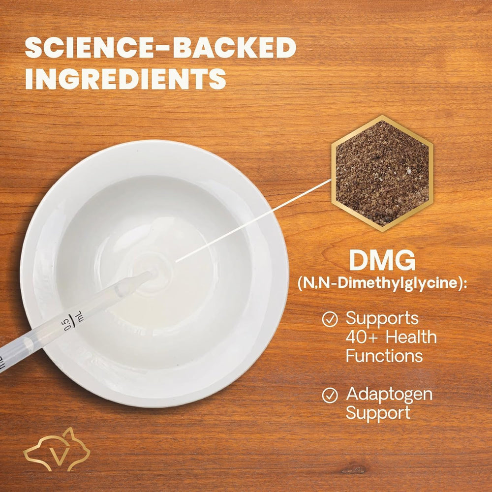 VetriScience DMG Immunity Health for cats promotes resilience during daily stress.