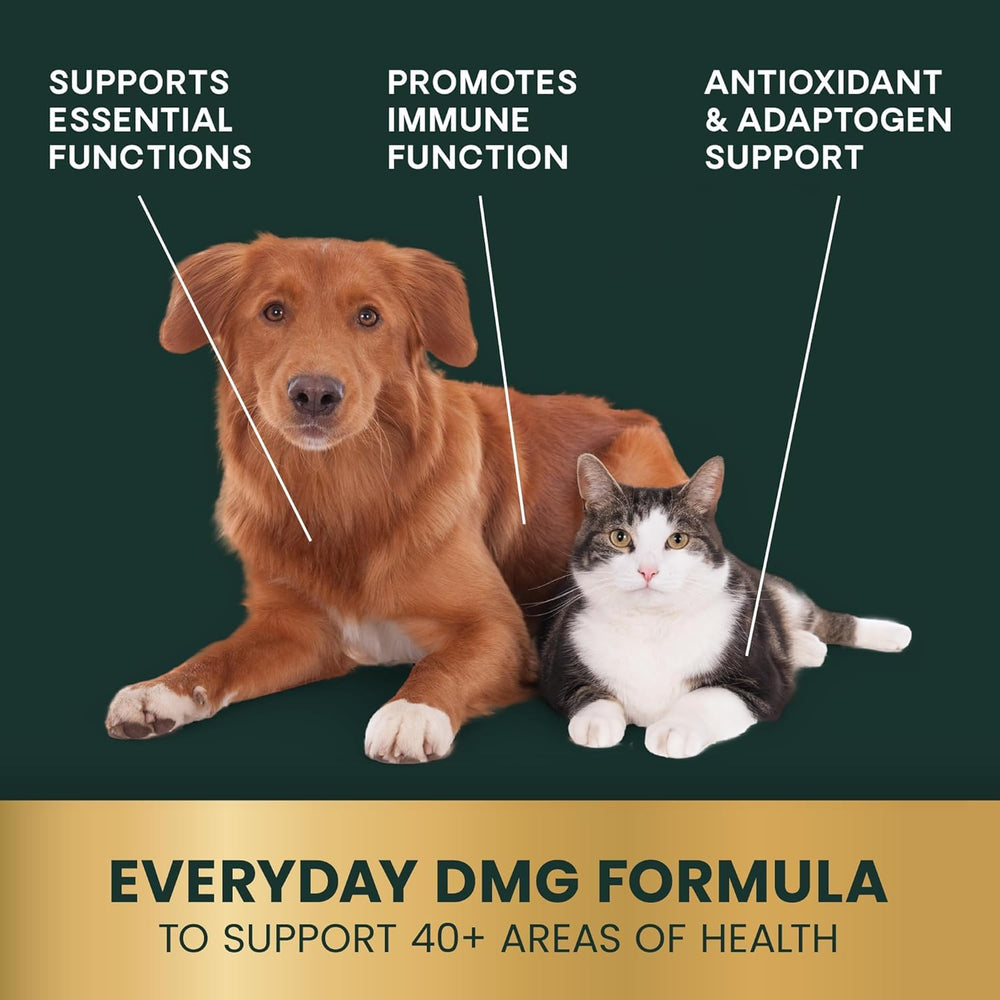 VetriScience DMG Immunity Health dropper administration by mouth.