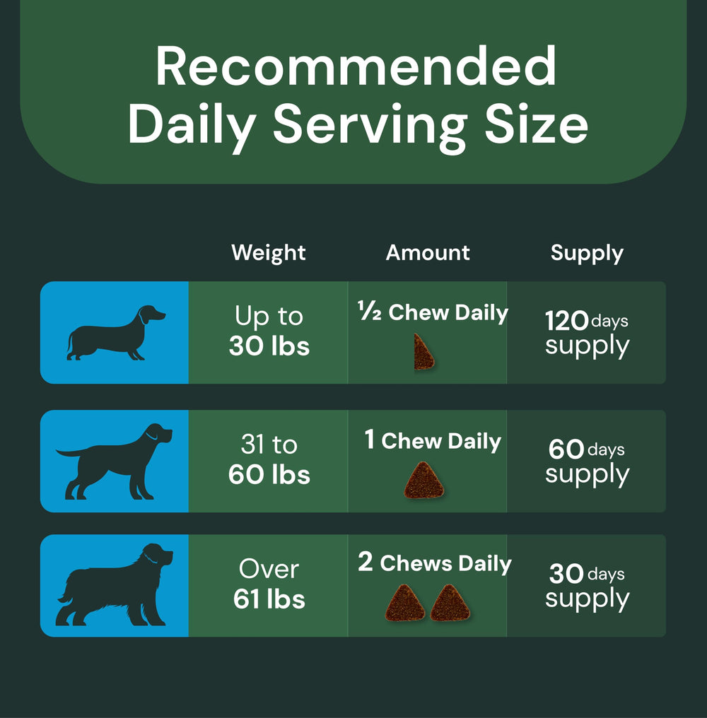 VetriScience dog-digestive-support probiotics captioned for easier daily nutritional balance