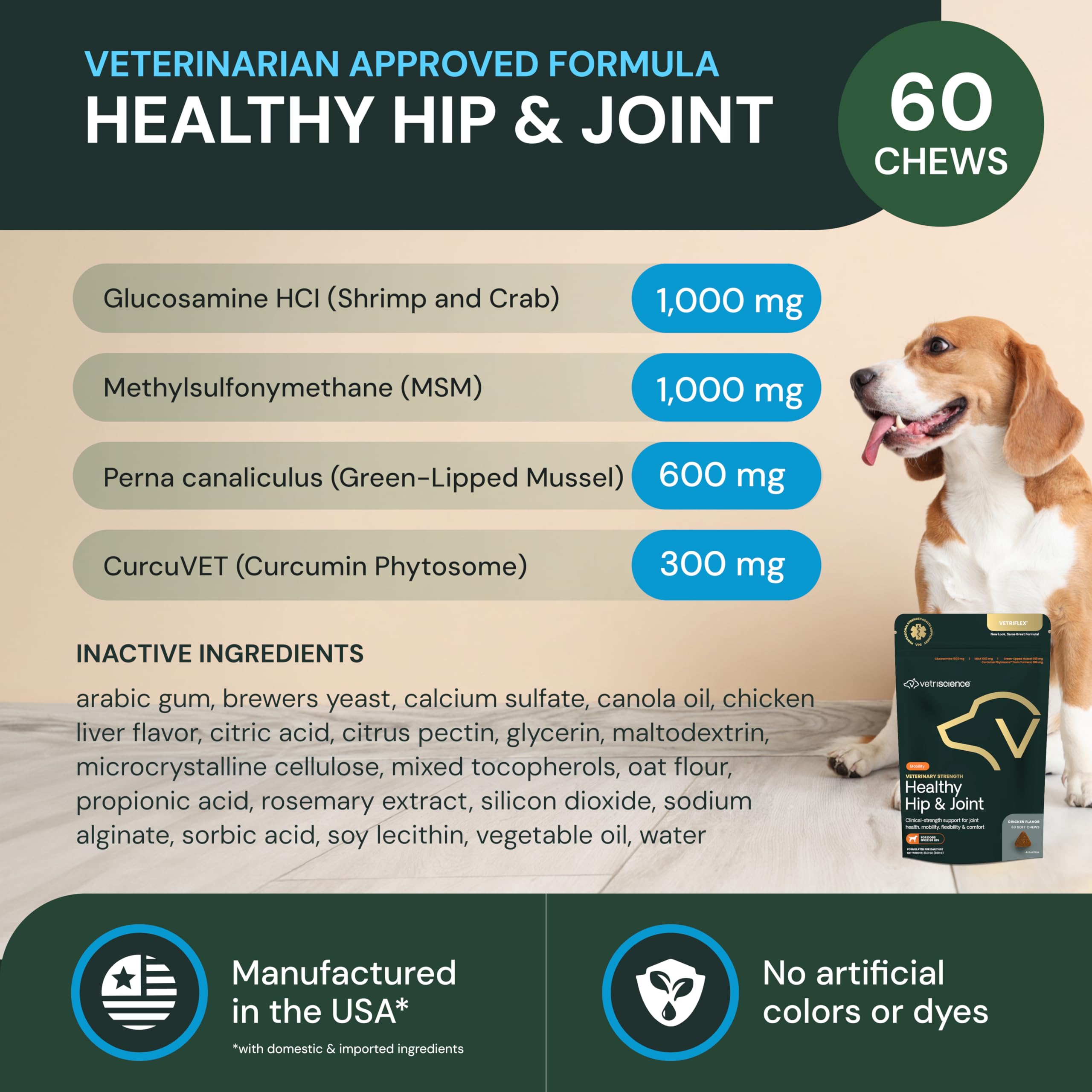 Dog enjoying a chew demonstrating improved comfort during daily activities