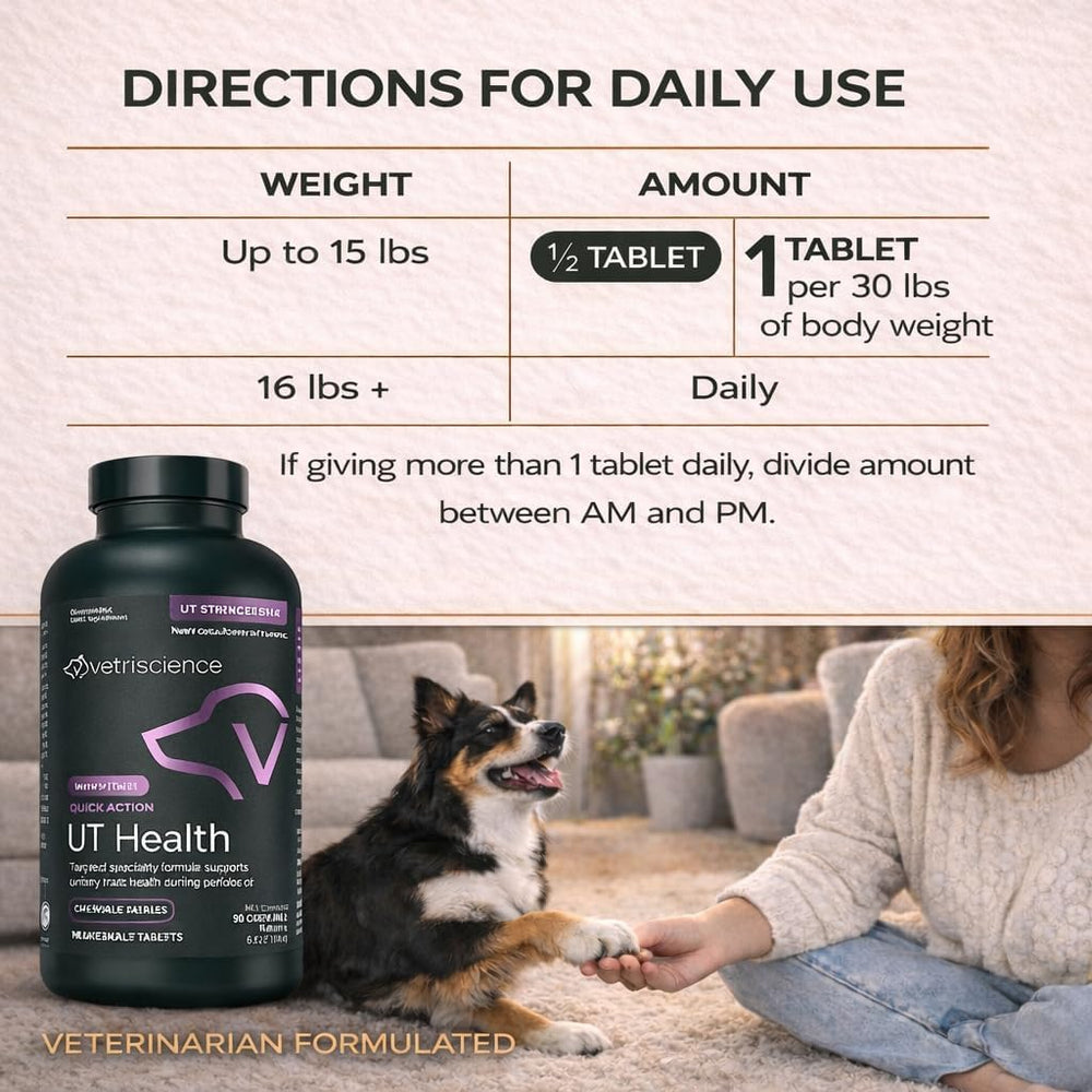 Dog enjoys chewy treat during daily routine with potential urinary support.