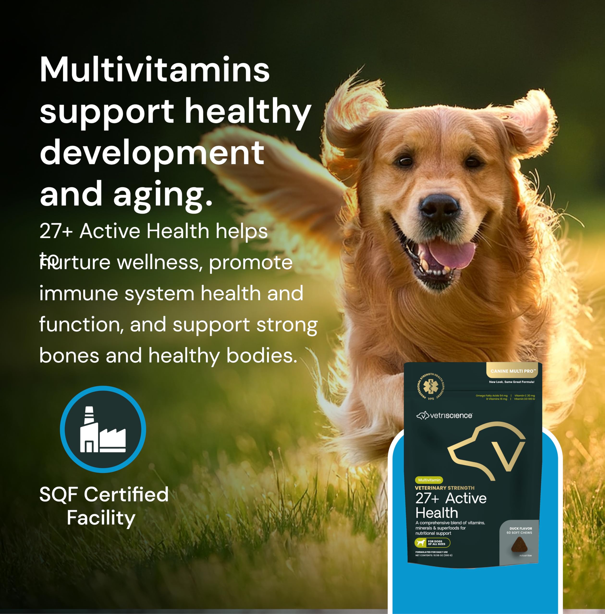 VetriScience dog-immune-benefits chewy treats suggesting overall wellness support