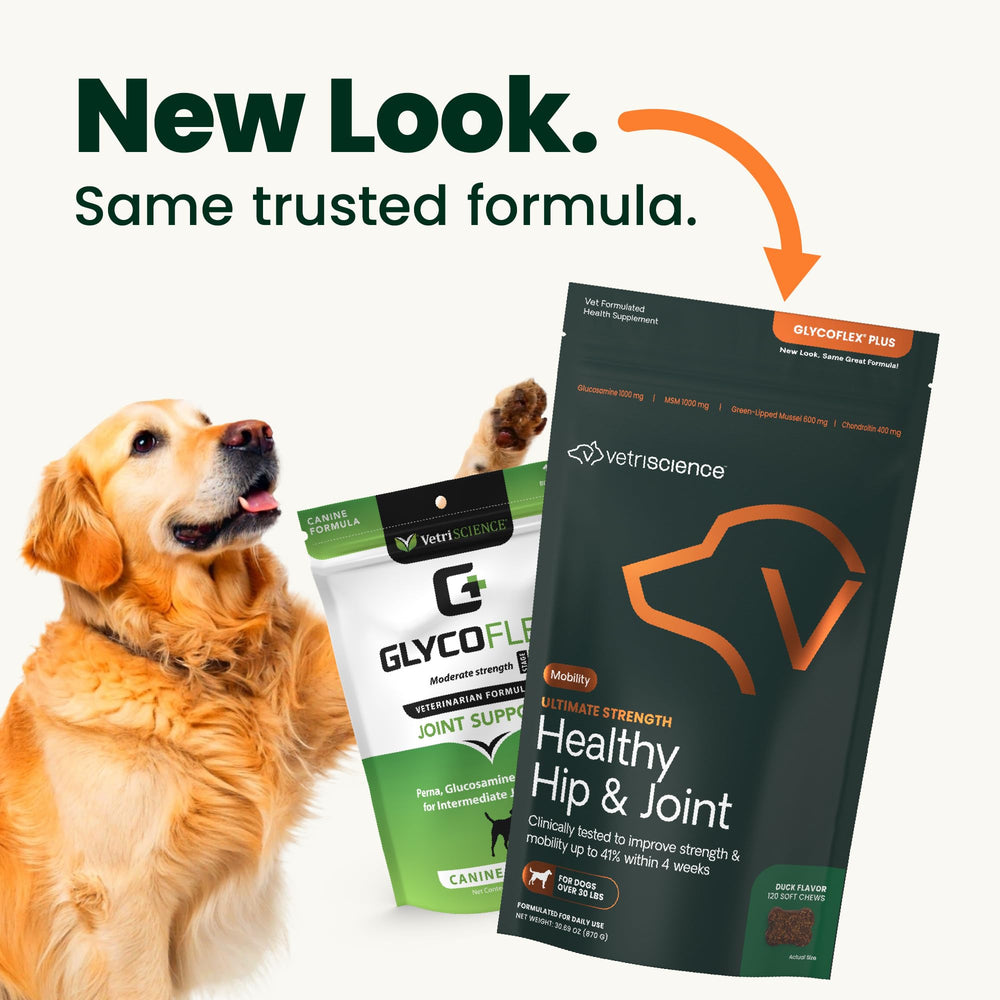 VetriScience dog joint-support chews for daily mobility.