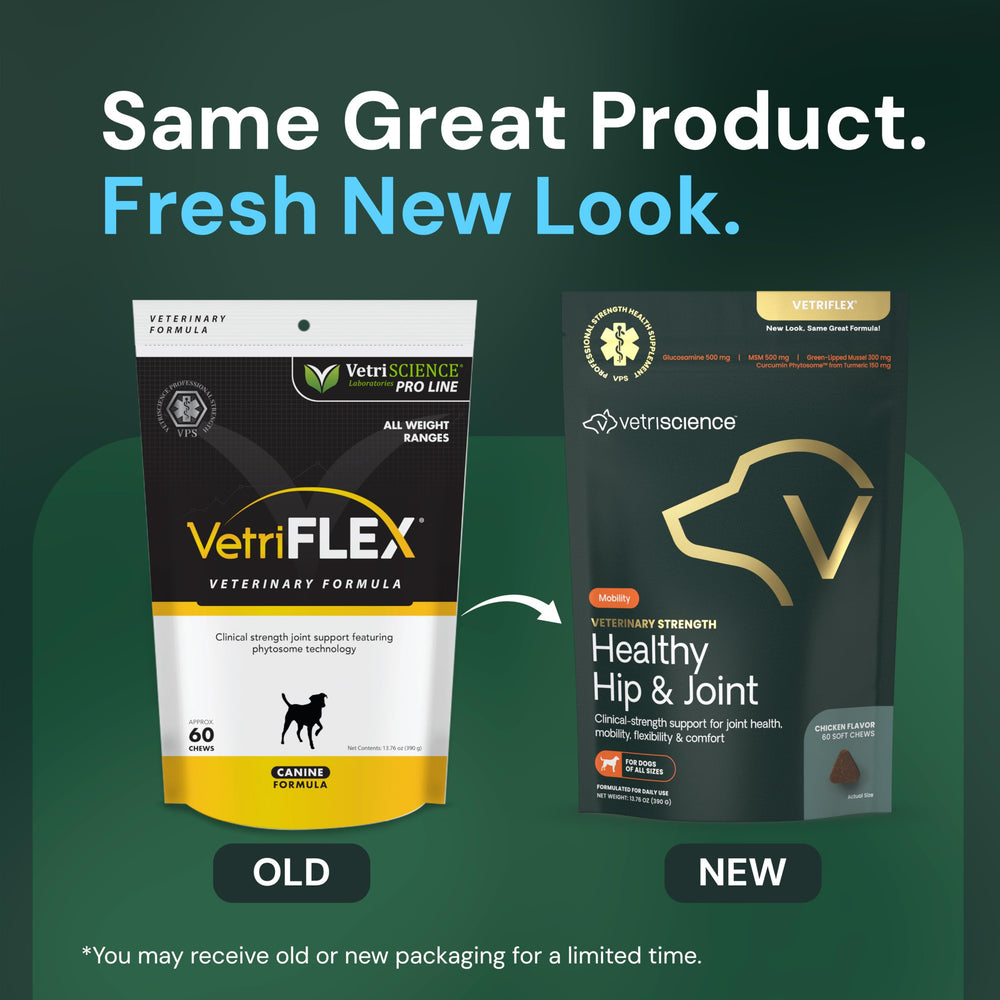 Close-up of VetriScience joint support treats in pack promoting joint comfort.