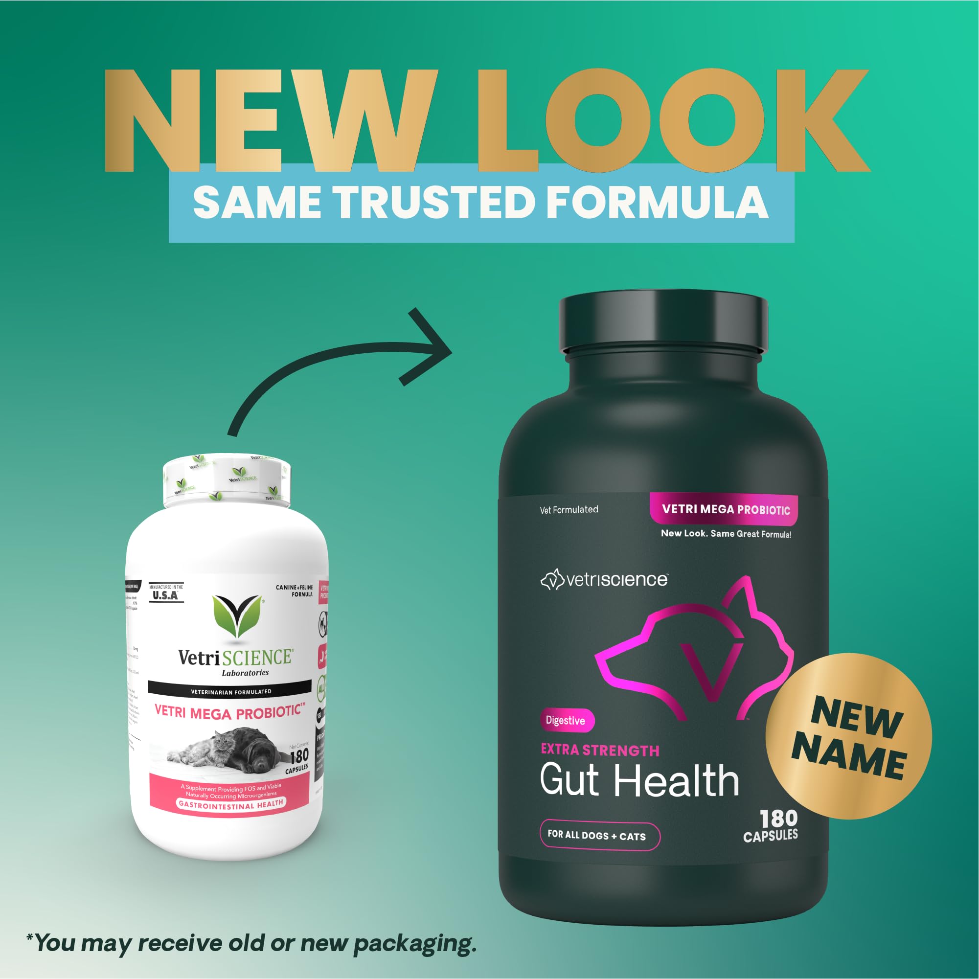 vetriscience gut health capsules on a dish, demonstrating easy dosing for pets
