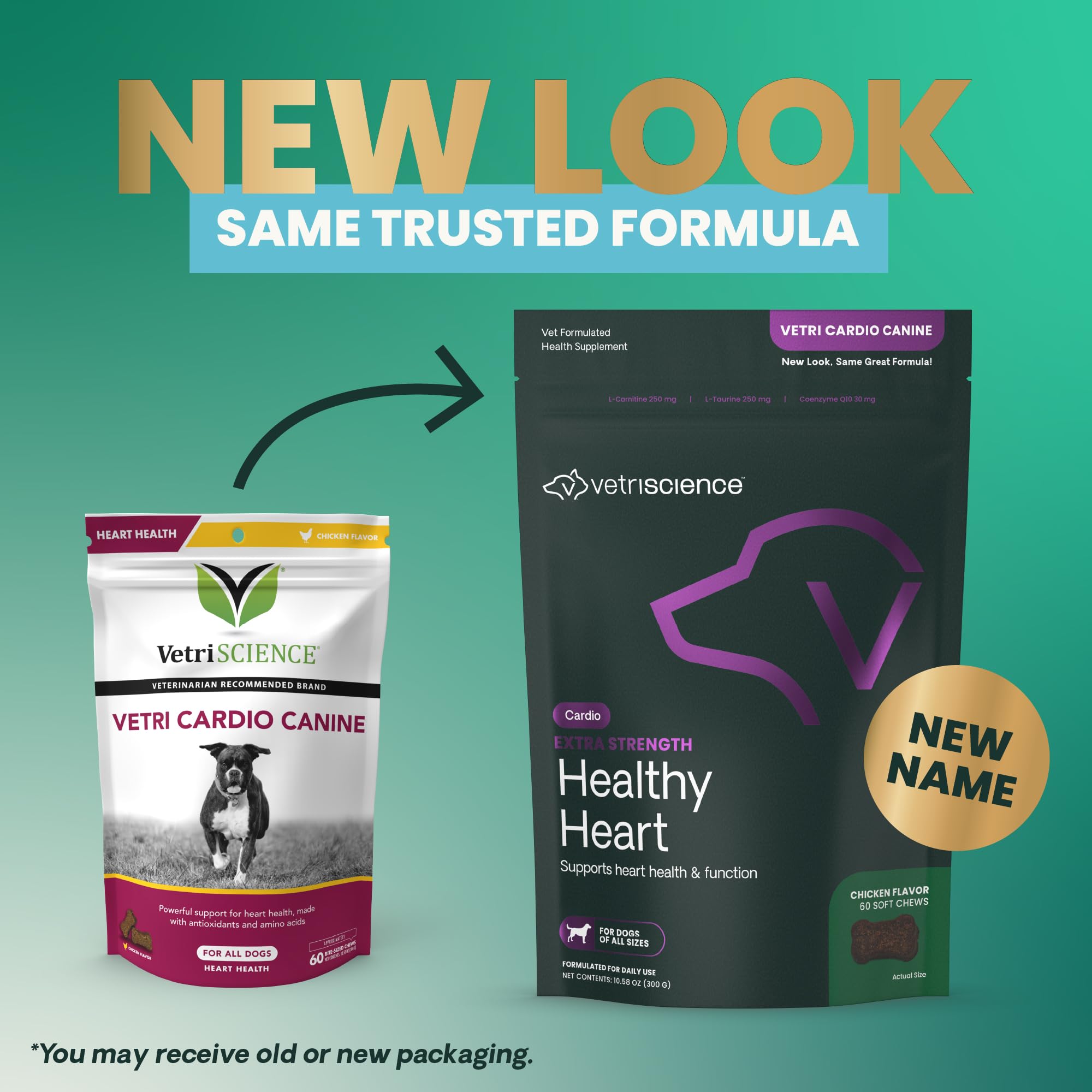 Dog bowl ready with Healthy Heart chews for daily cardio support.