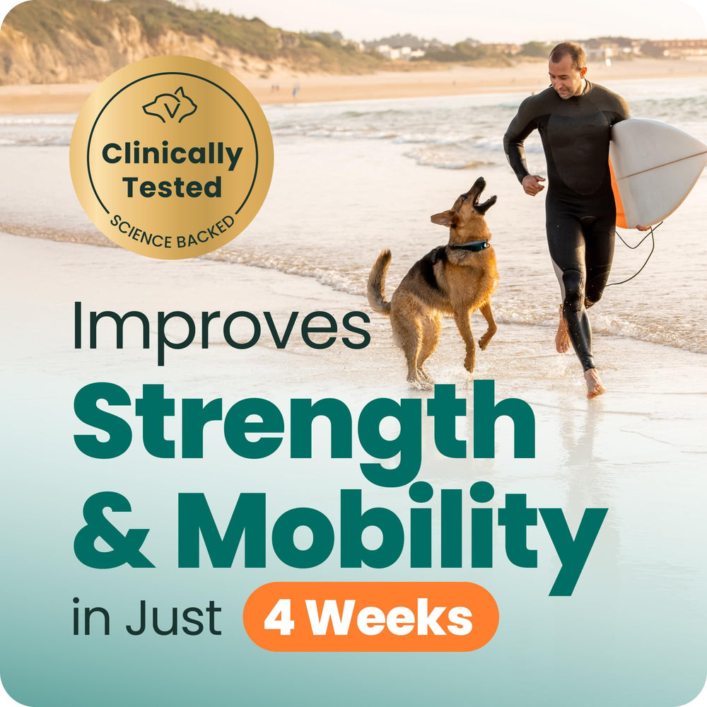 VetriScience Hip & Joint label highlighting glucosamine, MSM, and green-lipped mussel.