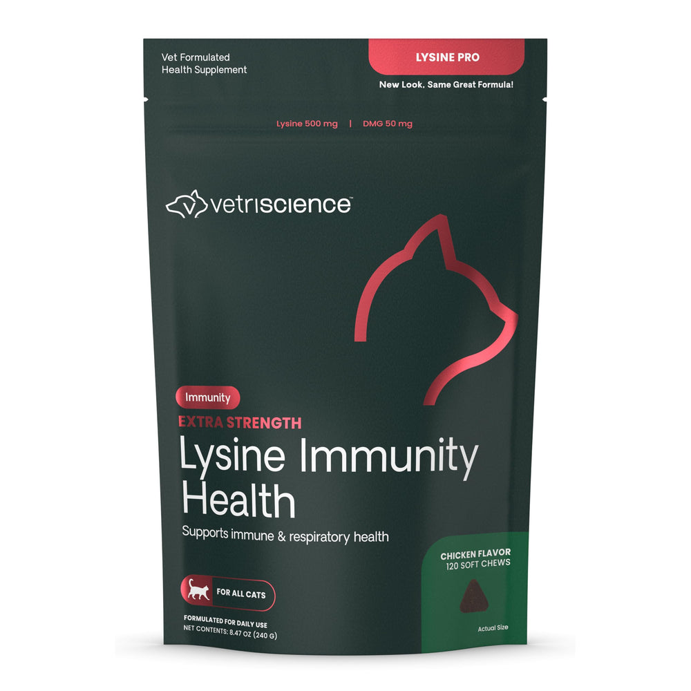VetriScience Extra Strength Lysine Immunity Chews bottle front for convenient feline immune support.