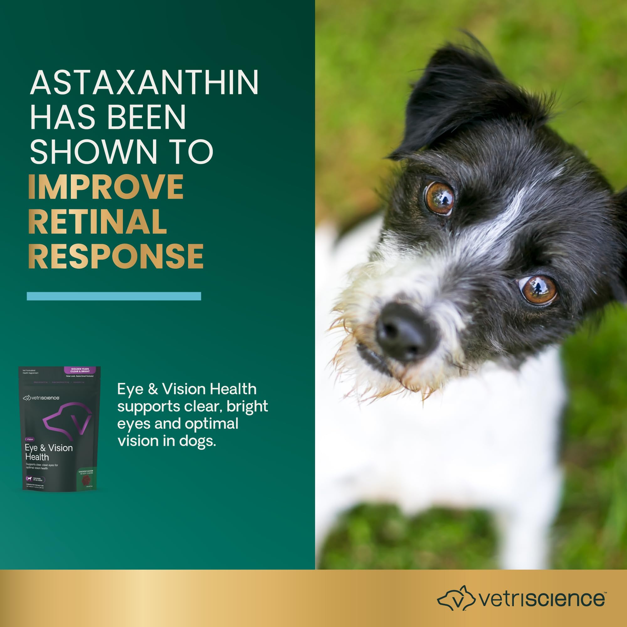 VetriScience eye health chews, soft chicken-flavor, daily eye support.