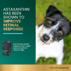 VetriScience eye health chews, soft chicken-flavor, daily eye support.