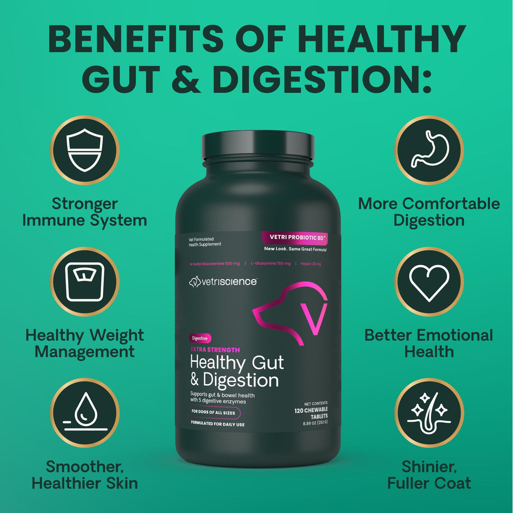 VetriScience gas and GI discomfort relief support after meals